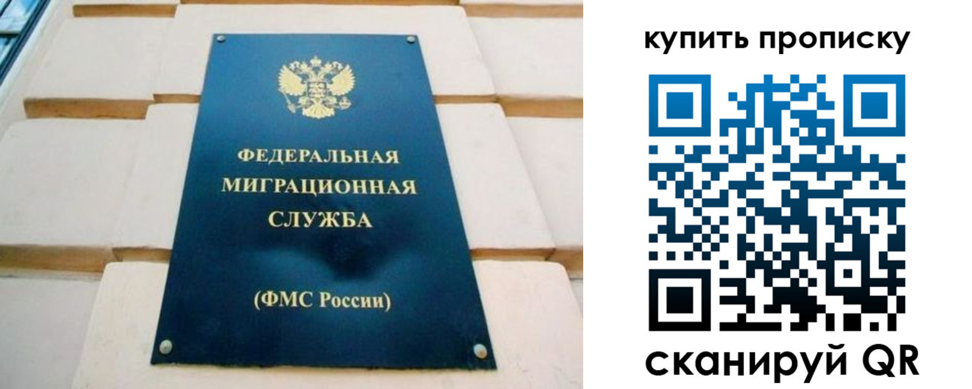 прописка в Новозыбкове
